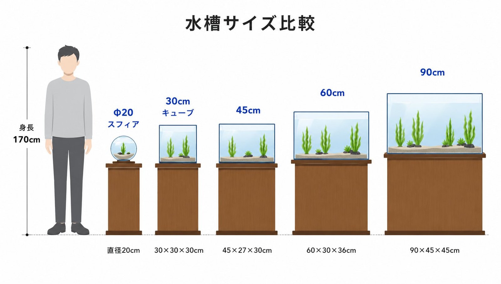 水槽サイズ比較(身長170cmの人と5サイズ)